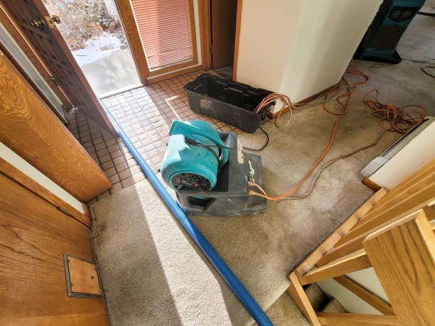 Best Professional water damage repair  in Keyport, NJ