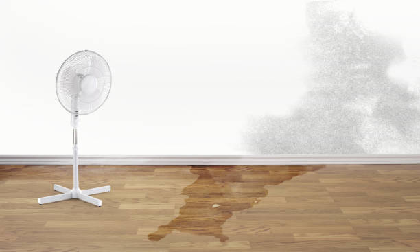 Best Water damage restoration near me  in Keyport, NJ