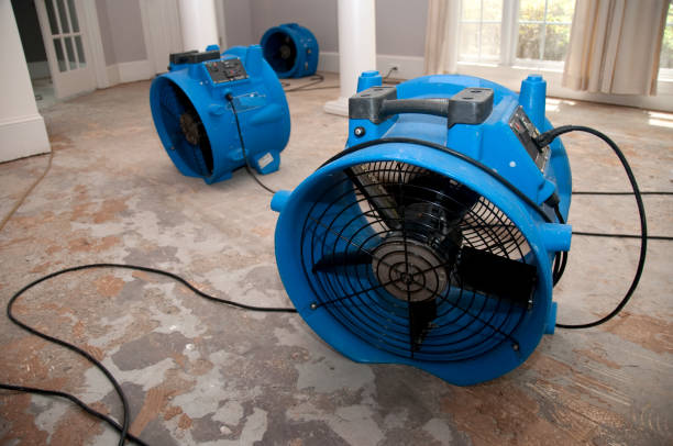 Best Water damage restoration company  in Keyport, NJ