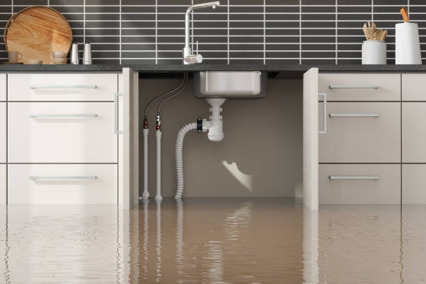 Best Water damage restoration near me  in Keyport, NJ