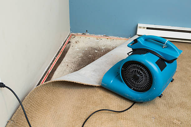 Best Carpet water damage restoration  in Keyport, NJ